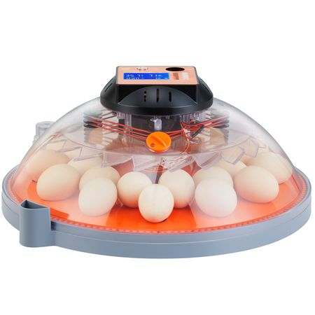 Egg Incubator, Incubators for Hatching Eggs, Automatic Egg Turner with Temperature and Humidity Control, 24 Eggs Poultry Hatcher with ABS Transparent Shell for Chicken, Duck, Quail