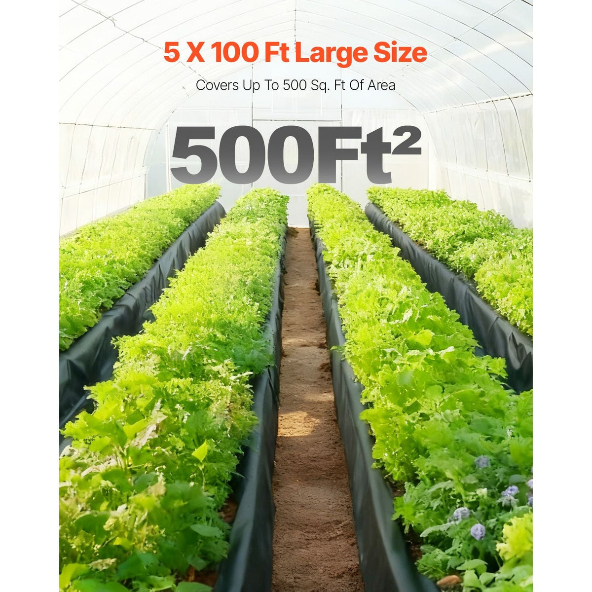 10 Mil Plastic Sheeting Heavy Duty 5' x 100', Thick Plastic Sheeting Roll, Plastic Drop Cloth Painters Tarp, Polyethylene Covering for Crawl Space Vapor Barrier, Multi-Purpose, Black