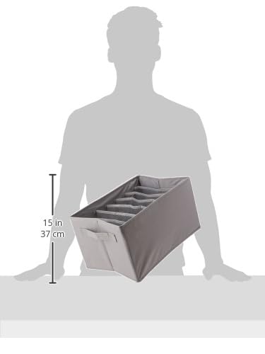 Amazon Basics Underwear Drawer Organizer Dividers for Closet Organization and Storage, Fits Perfectly in Dresser, 2-Pack, Gray | Pack of 2 - size: Pack of 2