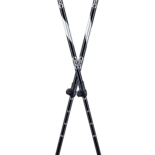 Atlas Trail Walking Two-Piece Pole