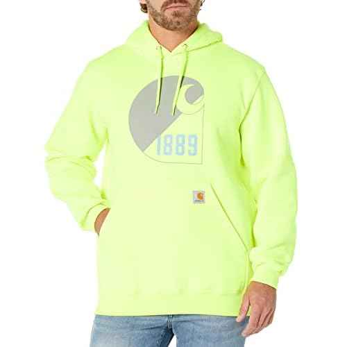 Carhartt mens Loose Fit Midweight Logo Grphic Sweatshirt