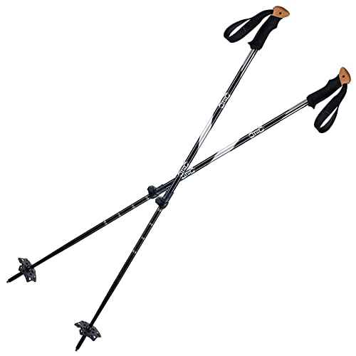 Atlas Trail Walking Two-Piece Pole
