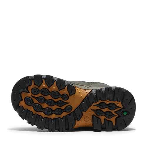 Timberland unisex-child Mt. Maddsen Waterproof Mid Hiking Boot