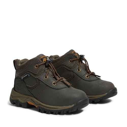 Timberland unisex-child Mt. Maddsen Waterproof Mid Hiking Boot