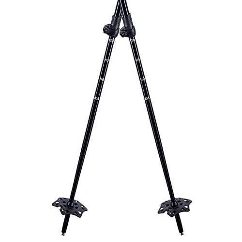 Atlas Trail Walking Two-Piece Pole