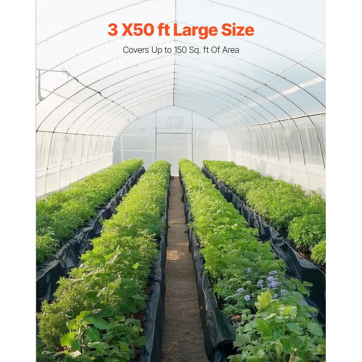 3FT x 50FT Plastic Sheeting Heavy Duty, 4 Mil Thick Plastic Sheeting Roll, Plastic Drop Cloth Painters Tarp, Polyethylene Covering for Crawl Space Vapor Barrier, Multi-Purpose, Black