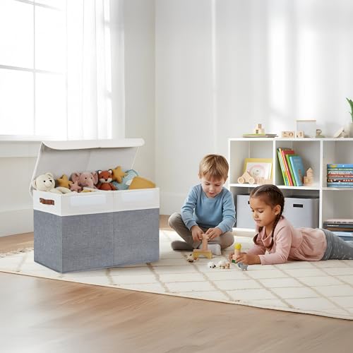 DECOMOMO Large Toy Storage Box with Lid - 25L x 12W x 16H inches Toy Chest Storage Bin with Divider for Kids, Nursery, Playroom (Grey & White)