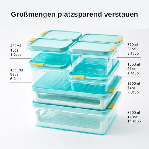 LocknLock Freezer Fit Plastic Freezer Containers | Airtight Stackable Food Storage for Meal Prep | Microwave & Dishwasher Safe | BPA Free Freezer Container with Lid, 450ml - size: 450ml