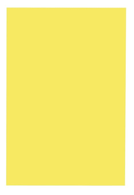 School Smart 085543 Folding Bristol Tagboard,Yellow, 12" W x 18" L (Pack of 100)