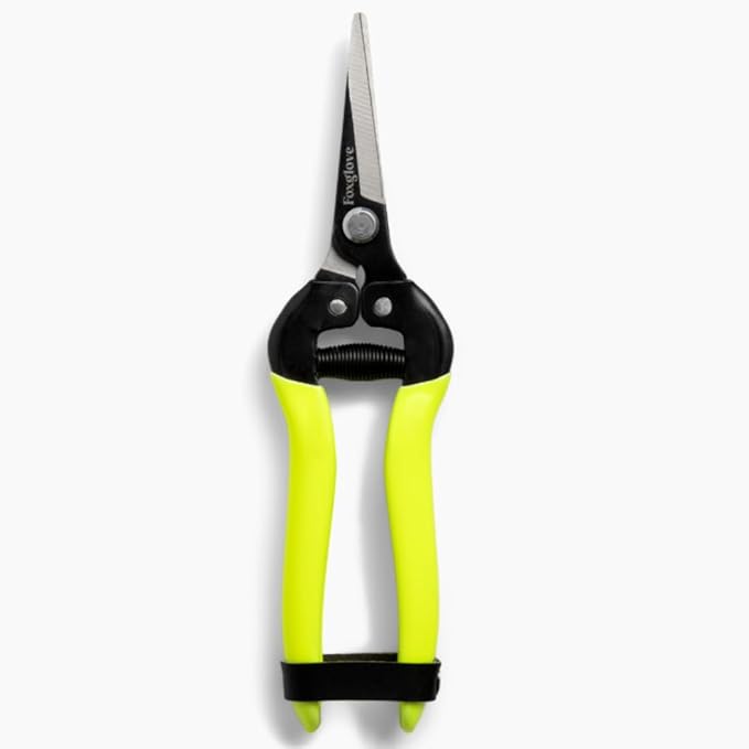 Foxglove Garden Scissors – Professional Pruning Shears for Gardening, Ultra-Sharp Garden Shears with Japanese SK5 Steel Blades, Ergonomic Gardening Shears & Garden Clippers for Flowers and Plants