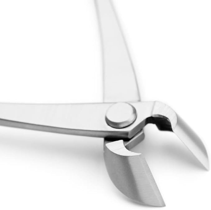 TianBonsai 165 Mm Branch Cutter Straight Edge Bonsai Branches Cutter Bonsai Tools