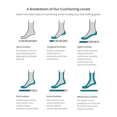 Smartwool Women's Run Targeted Cushion Low Ankle Socks