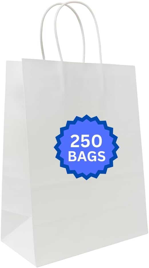 ASSUREPAK White DIY Paper Bags, 10" x 5" x 13", 90 GSM, 250 Count