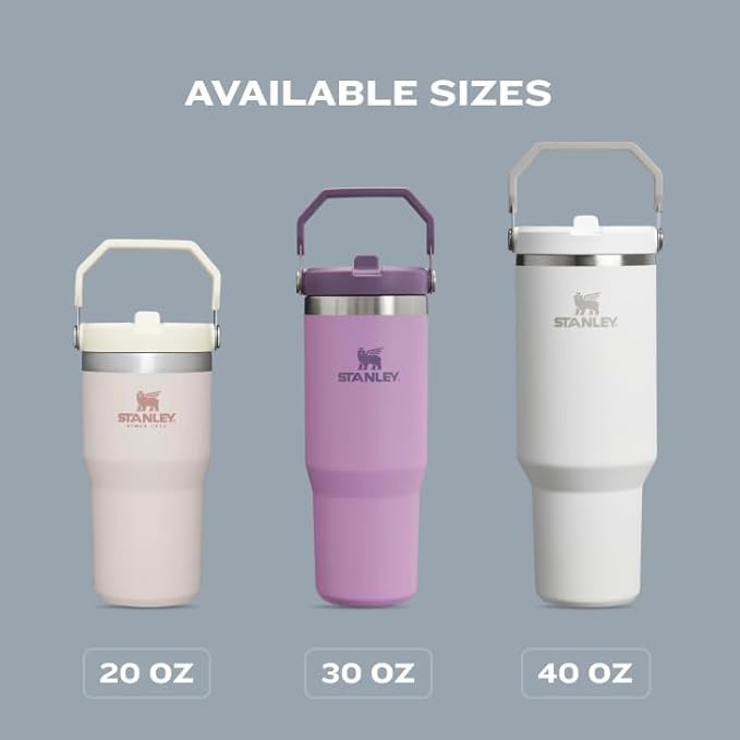 STANLEY IceFlow 2.0 Flip Straw Tumbler with Handle 30 oz | Twist On Lid and Flip Up Straw | Leakproof Water Bottle | Insulated Stainless Steel | BPA-Free | Dried Pine