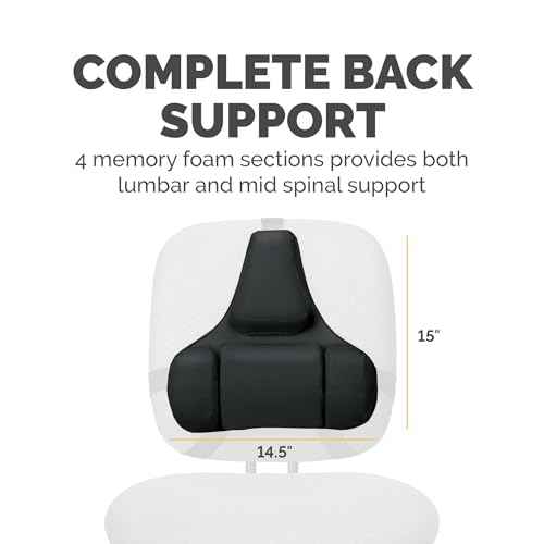 Fellowes Professional Series Back Support, Black (8037601)