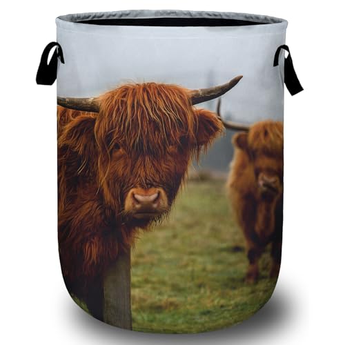 Highland Cow Laundry Basket, Laundry Hamper Collapsible Oxford Cloth with Handle Clothes Toy Storage Bin for Bathroom Laundry Room Bedroom 15.7 X 20 Inch - color: Highland Cow