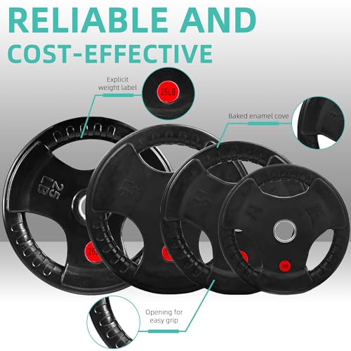 Fitvids Barbell Weight Set, Cast Iron 1" Standard Weight Plates Including 5FT Standard Barbell Bar & Star Locks, 95 Pounds Set (85 Lbs Plates + 10 Lbs Barbell Bar), Multiple Packages
