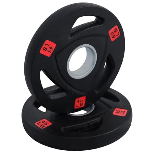 Fitvids Olympic Cast Iron 2-Inch Weight Plate for Strength Training & Weightlifting, Rubber Coate Style, Multiple Weights Available