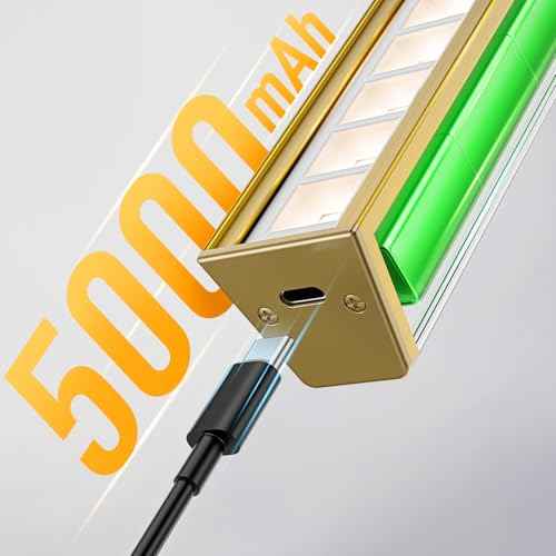 Picture Lights for Wall, Brushed Gold Battery Operated Picture Light 16in Art Light CCT Dimmable Recharging Battery Wall Light with Remote Control for Living Room Gallery