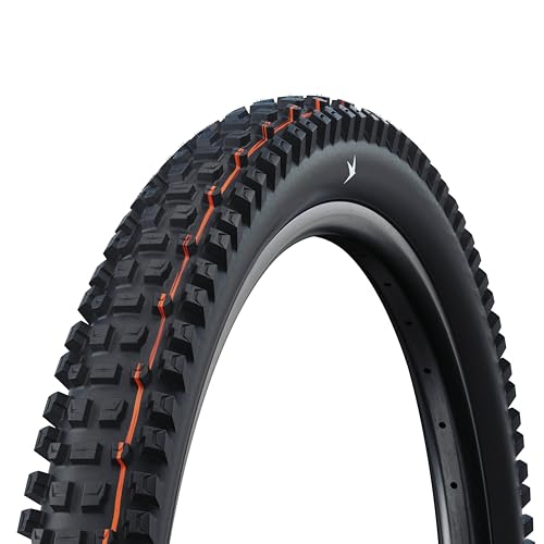 SCHWALBE Albert Tire - 29 x 2.50, Tubeless, Folding, Black, Evolution Line, Gravity Pro, Addix Soft, Radial, E-50