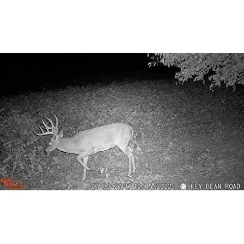 Wildgame Innovations Scrapeline 18MP Trail Camera with Batteries and SD Card