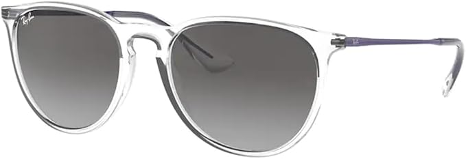 Ray-Ban RB4171 ERIKA Round Sunglasses For Women +BUNDLE with ACCESSORY EYEWEAR KIT
