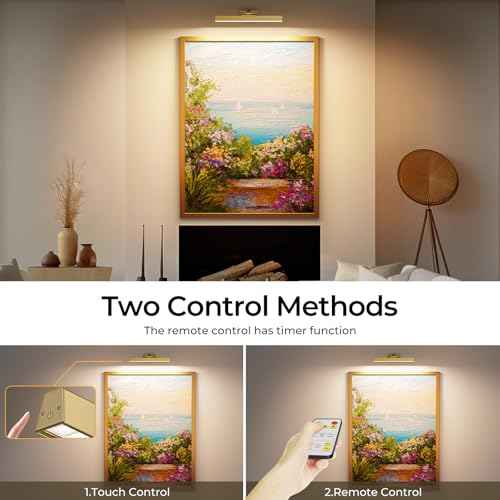 Picture Lights for Wall, Brushed Gold Battery Operated Picture Light 16in Art Light CCT Dimmable Recharging Battery Wall Light with Remote Control for Living Room Gallery