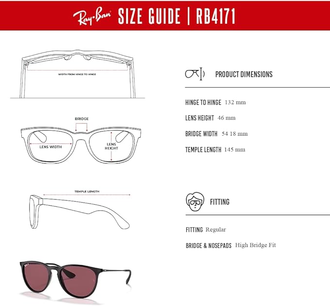 Ray-Ban RB4171 ERIKA Round Sunglasses For Women +BUNDLE with ACCESSORY EYEWEAR KIT