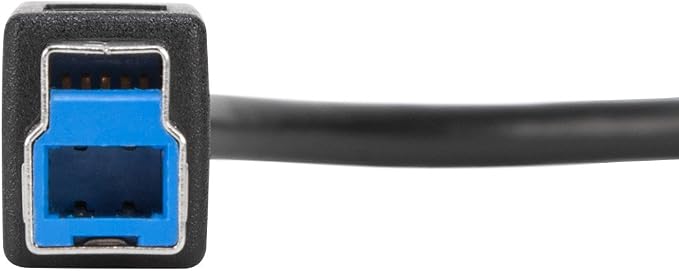 Targus USB-C to USB-B 5Gbps Cable 1 Meter (ACC924USX)