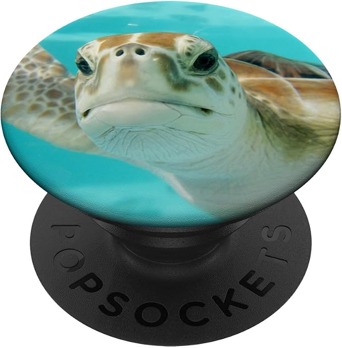 Pop out Cell Phones holder underwater Ocean Sea Turtles PopSockets Adhesive PopGrip