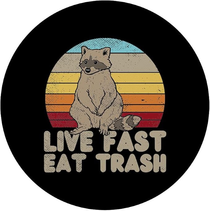 Fast Live Eat Trash Raccoon Sunset Retro Street Cat Gift PopSockets Standard PopGrip