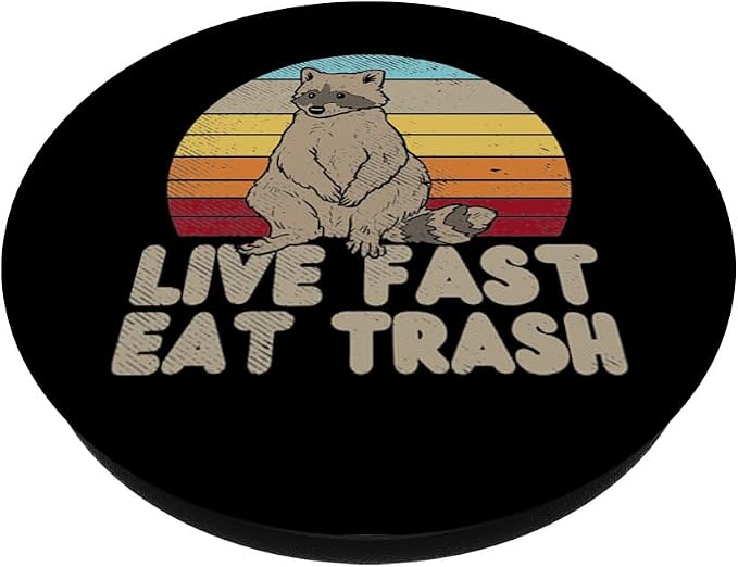 Fast Live Eat Trash Raccoon Sunset Retro Street Cat Gift PopSockets Standard PopGrip