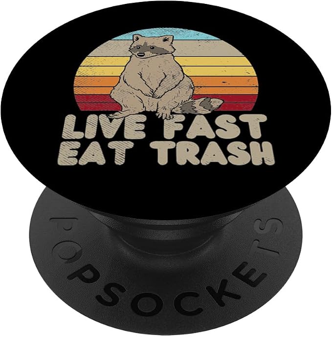 Fast Live Eat Trash Raccoon Sunset Retro Street Cat Gift PopSockets Standard PopGrip