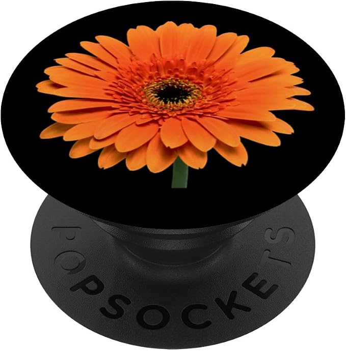 Orange Gerbera Daisy Flower Black Background PopSockets Adhesive PopGrip