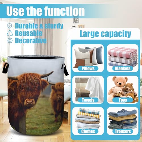 Highland Cow Laundry Basket, Laundry Hamper Collapsible Oxford Cloth with Handle Clothes Toy Storage Bin for Bathroom Laundry Room Bedroom 15.7 X 20 Inch - color: Highland Cow