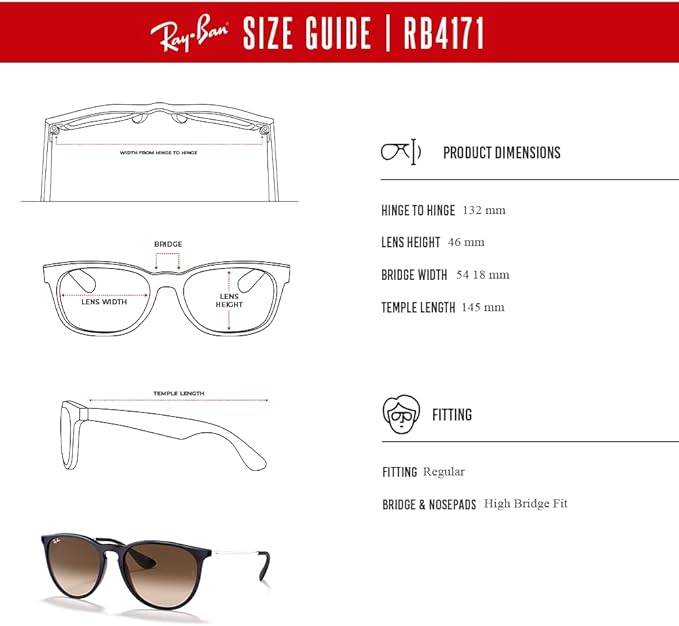 Ray-Ban RB4171 ERIKA Round Sunglasses For Women +BUNDLE with ACCESSORY EYEWEAR KIT
