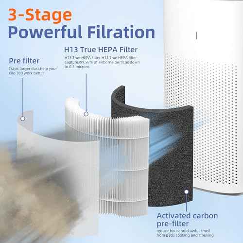 12010 HEPA Replacement Filter for Clorox Large Room Air Purifier 11010 & 11011,3-in-1 H13 True HEPA with Activated Carbon Filter,2 Pack