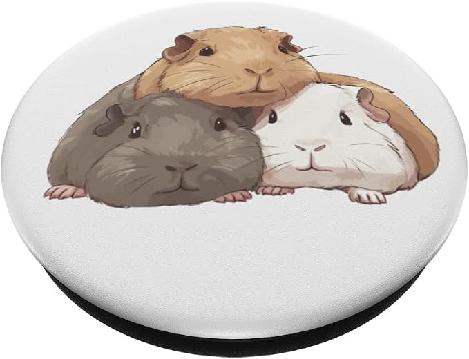 Cute Guinea Pigs PopSockets Adhesive PopGrip
