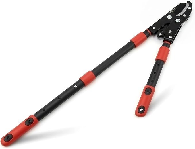 AGRICUT Extendable Garden Loppers Anvil - Tree Trimmer 2" Cut Capacity Hedge Clippers with Sharp High Carbon Steel Blade Hand Loppers for Cutting Branches