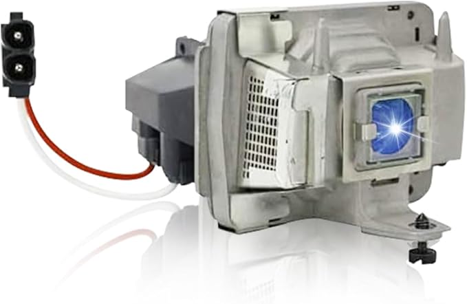 SORNEICDR SPLAMP019 Replacement Projector Lamp Bulb Compatible with SP-LAMP-019 INFOCUS LP600 IN32 IN34 IN34EP W340 W360 Projectors, with Housing