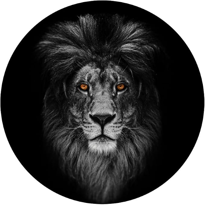 Lion Face in Dark PopSockets Adhesive PopGrip