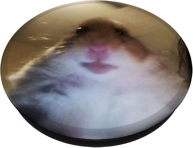 Staring Hamster PopSockets PopGrip: Swappable Grip for Phones &amp Tablets PopSockets Adhesive PopGrip