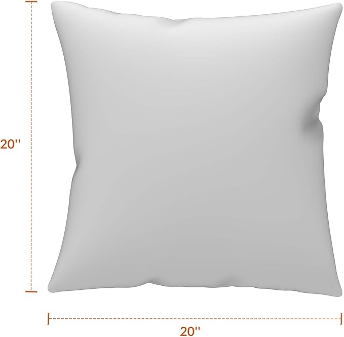 Covers & All Sunbrella Outdoor Throw Pillows, Pack of 2 Water Resistant & UV Fade Resistant Premium Square Throw Pillows (Inserts with Covers) for Indoor & Outdoor Use,20" x 20" Cast Ash