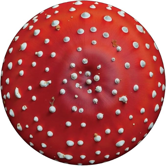 Mushroom Illustration Print PopSockets Adhesive PopGrip