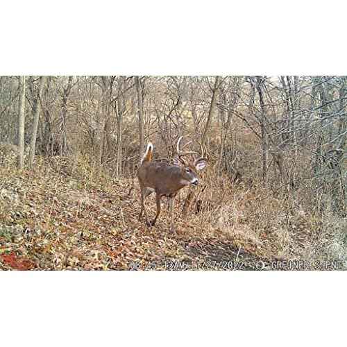 Wildgame Innovations Scrapeline 18MP Trail Camera with Batteries and SD Card
