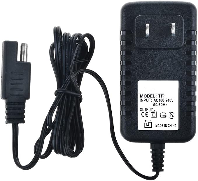 AC Charger 6V Compatible with Quad ATV Pacific Cycle Princess Avenger Good Dinosaur