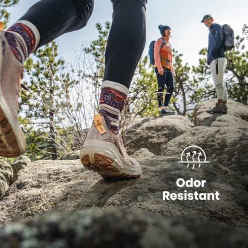 Smartwool Men's Run Targeted Cushion Low Ankle Socks