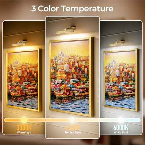 Picture Lights for Wall, Brushed Gold Battery Operated Picture Light 16in Art Light CCT Dimmable Recharging Battery Wall Light with Remote Control for Living Room Gallery