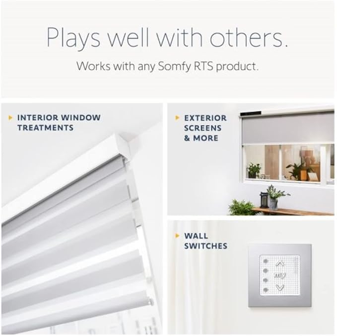 Somfy Situo 1800128 RTS The New Telis 1 Remote Control - Replacing 1810633 Home Automation Blinds and Shades System Kits