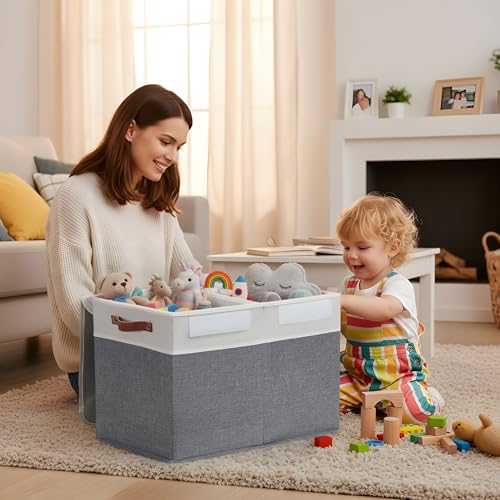 DECOMOMO Large Toy Storage Box with Lid - 25L x 12W x 16H inches Toy Chest Storage Bin with Divider for Kids, Nursery, Playroom (Grey & White)
